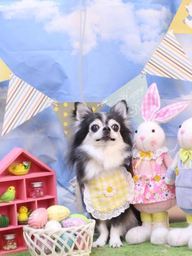 20240326ジンくん